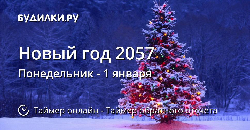 Новый год 2057