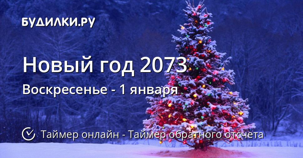 Новый год 2073